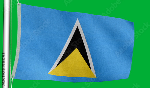 Slika na platnu Small hand-held Saint flag used in parades, rallies, and cultural events
