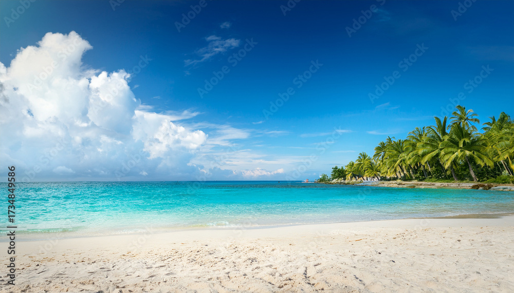 Fototapeta premium Beach And Tropical Sea
