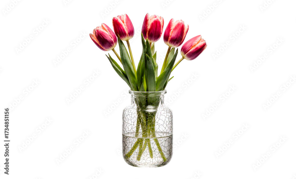 Obraz premium pink tulips in vase