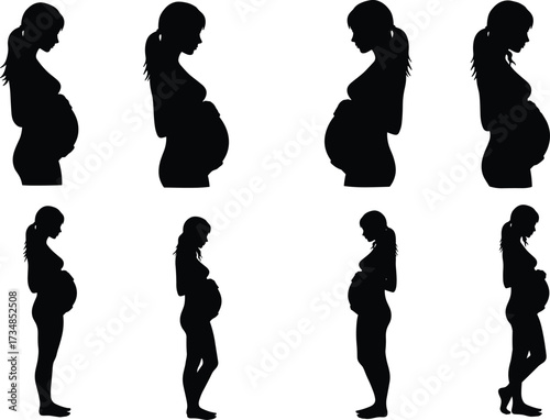 Pregnancy silhouettes, pregnant woman poses, maternity illustration, expecting mother, motherhood concept, family lifestyle, health, medical, fetal growth, maternal care, development