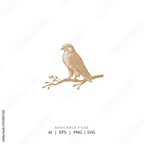 Geometric falcon logo for corporate brand identity, Abstract polygonal raptor logo for technology startup