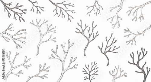 Hand-drawn seamless pattern featuring delicate, branched organic structures resembling reindeer moss or deep-sea coral
