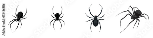 Creepy Crawly Collection Get Spooked with these Arachnids, Perfect for Halloween Designs, Horror Themes, or Mysterious Concepts that Need an Eerie Element