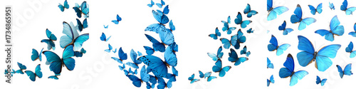 Graceful turquoise butterflies flutter in artistic formations, bringing a touch of nature's beauty and serene elegance to any design project; originally a scalable vector graphic