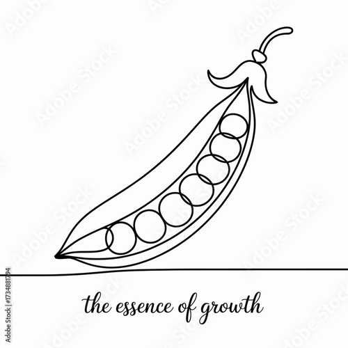 This image showcases a single pea pod, symbolizing the essence of growth and nature's bounty, highlighting the importance of nurturing and development in life.