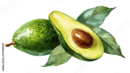 A hand-drawn watercolour painting of a ripe avocado with a seed and