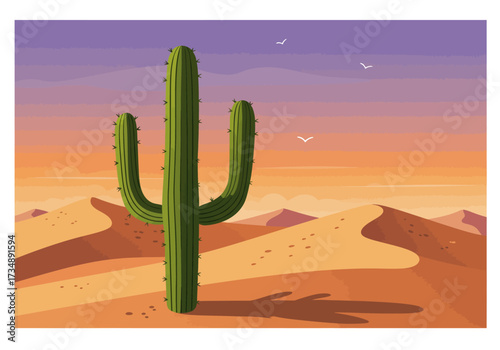 Cactus in desert landscape sand dunes sunset sky silhouetted shadow