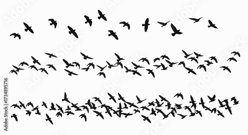 A flock of birds in flight vector illustration. Migrating flying birds in formation, isolated on white