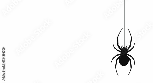 Black spider silhouette hangs down on a silk thread against a plain white background