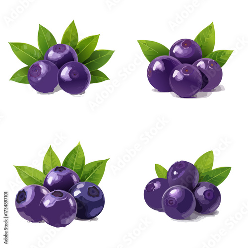 Açaí Berry Vector Illustration Set — Fresh Purple Superfruit with Leaves, Whole and Clustered Berries