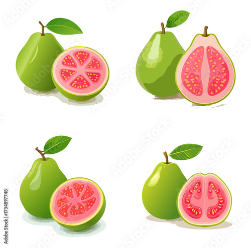 Guava Vector Illustration Set — Fresh Whole and Sliced Tropical Fruits with Green Skin and Pink Flesh
