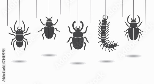 Graphic illustration featuring various insects suspended from above