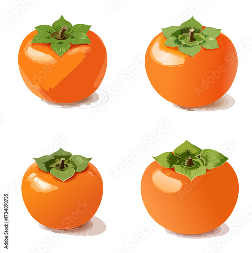 Persimmon Vector Illustration Set — Fresh Ripe Orange Fruits with Green Leaves in Hand-Drawn Style