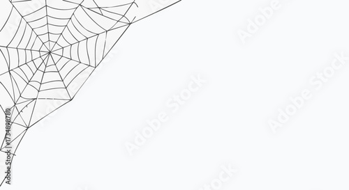 Simple black and white line drawing of a spiderweb in the corner, perfect for Halloween designs, horror themes, or creating suspenseful backgrounds