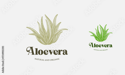 Hand Drawn aloe vera logo template, Green leaf aloe vera label or icon. Vector sign