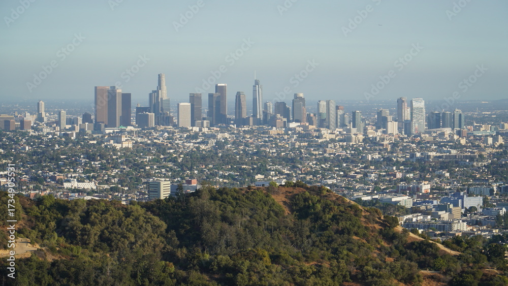 Obraz premium Los Angeles skyline #3