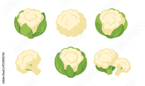 Variety of cauliflower designs on white background
