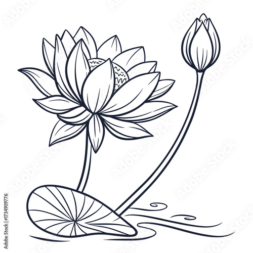 Elegant line art illustration of a blooming lotus flower and a closed bud with a lily pad on water