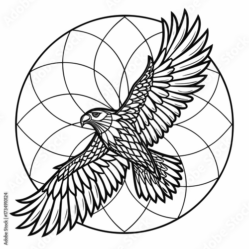 Stylized black line art illustration of a majestic hawk in flight against a circular geometric background with radiating lines and curves
