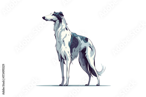 Borzoi dog hound background isolated