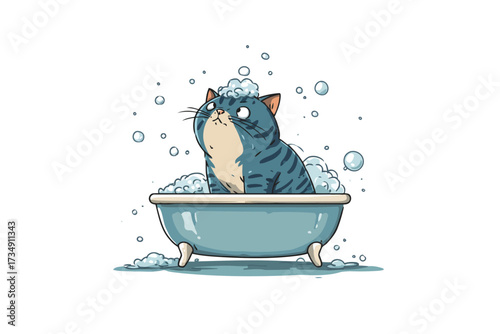 cat taking a bath wet isolated
