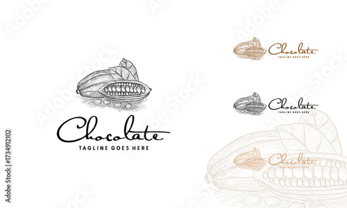 Vintage Hand drawn Chocolate logo, poster. Sweet Shop trendy logo with Cocoa Bean and leaves. Cocoa Beans, Cacao Vector emblem template.