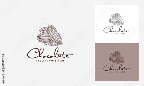 Vintage Hand drawn Chocolate logo, poster. Sweet Shop trendy logo with Cocoa Bean and leaves. Cocoa Beans, Cacao Vector emblem template.