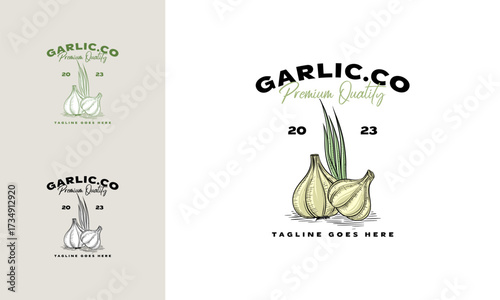 Emblem of garlic spice logo vector design template, Garlic hand drawn logo vector design template
