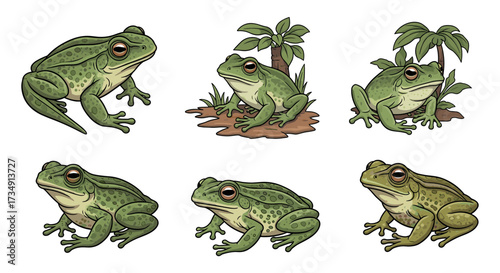 Set of green frog cartoon characters in various poses vector illustration isolated on transparent