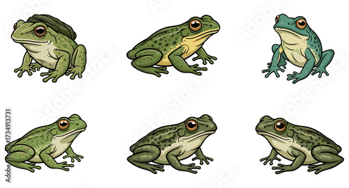 Set of cartoon green frogs in various poses, vector illustration isolated on transparent background