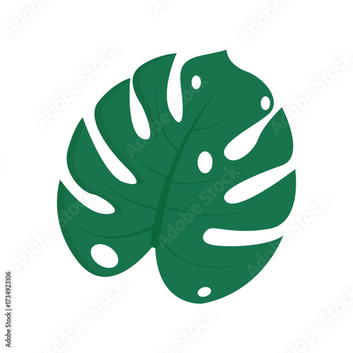 Monstera Deliciosa Leaf A Vibrant Green Icon of Tropical Foliage, Perfect for Design