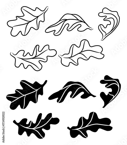 Various Oak Leaves Silhouette and Minimalist Line Art Collection, Fall Dried Leaf Vector Design.