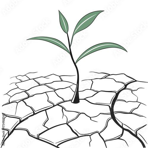 A solitary green sprout emerges from parched cracked earth symbolizing resilience and hope in arid conditions