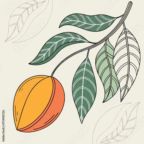 A stylized illustration of a single ripe orange fruit hanging from a branch with green and outline leaves against a pale cream background