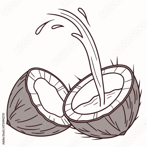 A stylized illustration of a cracked coconut with its fresh white milk splashing out into the open shell creating a refreshing tropical beverage concept