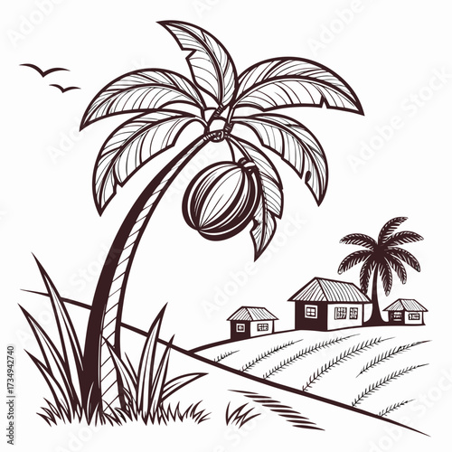 tropical palm trees