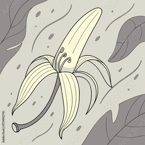 A stylized peeled banana with its skin peeled back revealing the fruit inside set against a minimalist background with abstract shapes and leaves