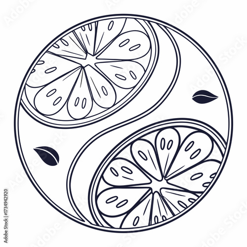 Stylized yin yang symbol composed of two citrus fruit slices and two dark leaves against a white background