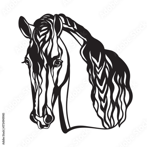 Head of horse with long mane template vector illustration