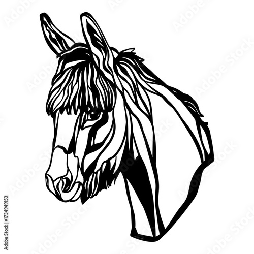 Head of donkey illustration template vector