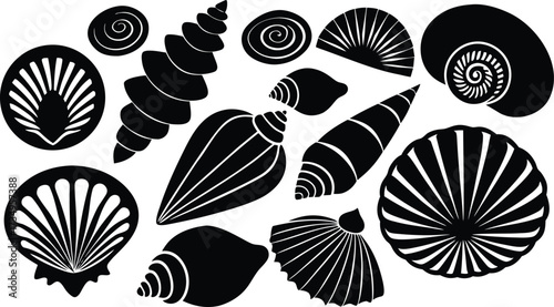 Vector art of collection of various seashells