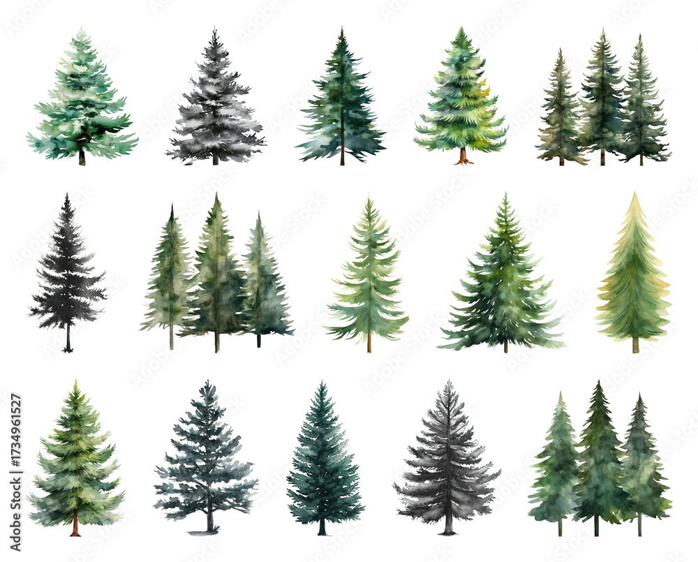 Obraz premium Watercolor evergreen tree illustrations.