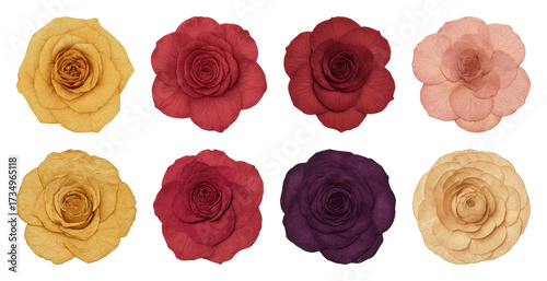 Fototapeta Naklejka Na Ścianę i Meble -  Colorful roses in symmetrical arrangement.