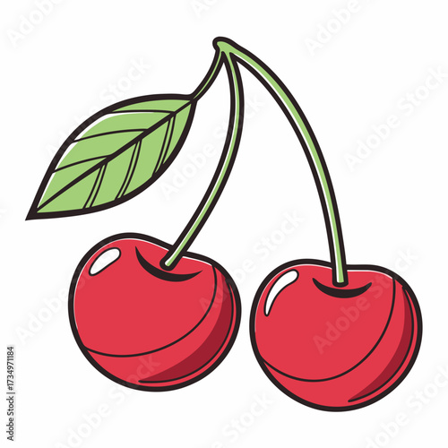 cherry vector illustration