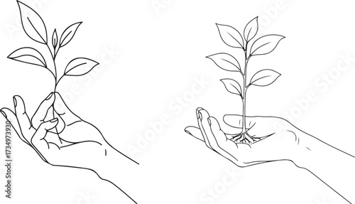 Minimalist line art of a hand holding a growing plant with leaves and roots.