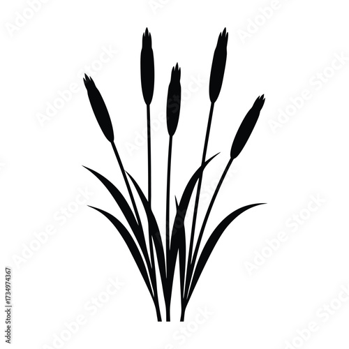 Cattail Plant Silhouette – Reeds Grass Vector Illustration