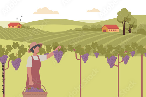 Minimalist Vector Illustration of Farmer Harvesting Grapes in Vineyard
