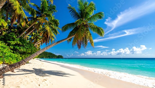 Fototapeta Naklejka Na Ścianę i Meble -  Tropical beach paradise. Lush palm trees line a pristine white sand beach