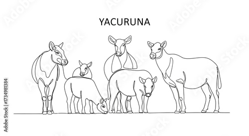 Yacuruna Animals in Outline Drawing Illustrating Fauna on a White Background