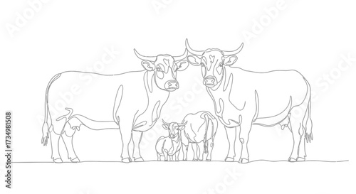 Family of Cows Minimalist Line Drawing of Bovine Animals Together